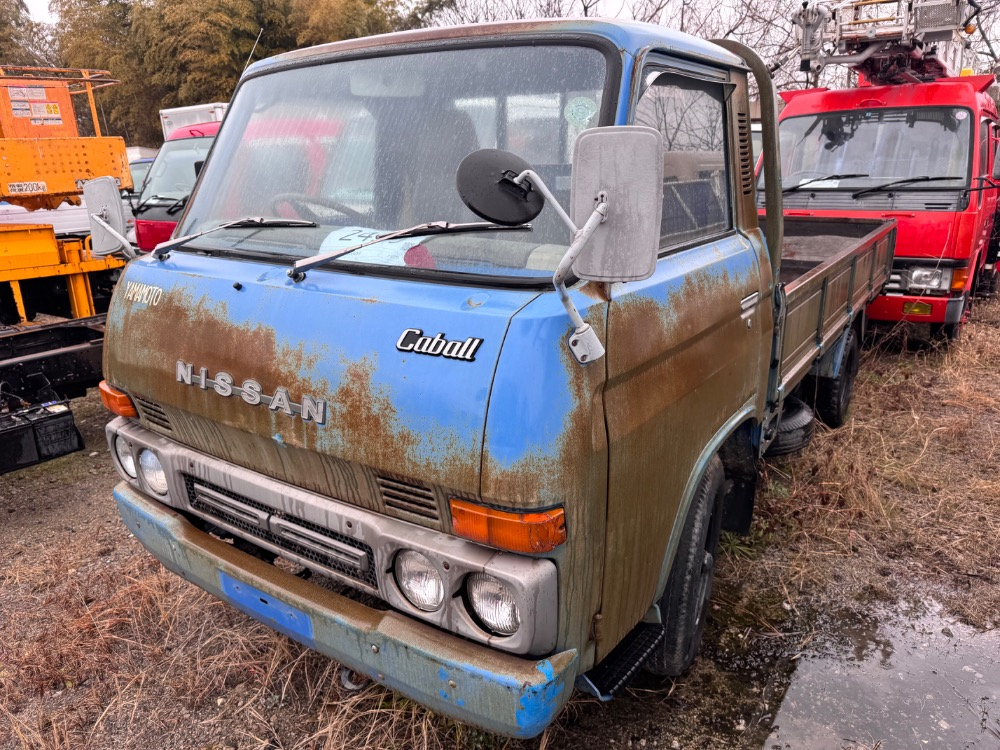 00050／ｷｬﾌﾞｵｰﾙ